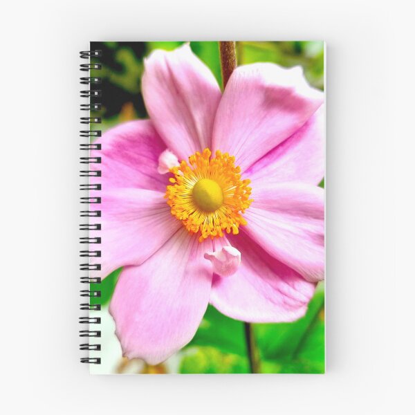 Item preview, Pink in Bloom designed and sold by SDC Original Designs.