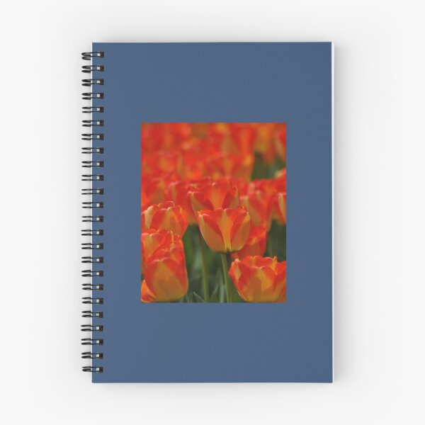 Item preview, keukenhof gardens, the netherlands Graphic  designed and sold by AestheticGoodc.