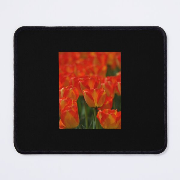 Item preview, keukenhof gardens, the netherlands Graphic designed and sold by AestheticGoodc.