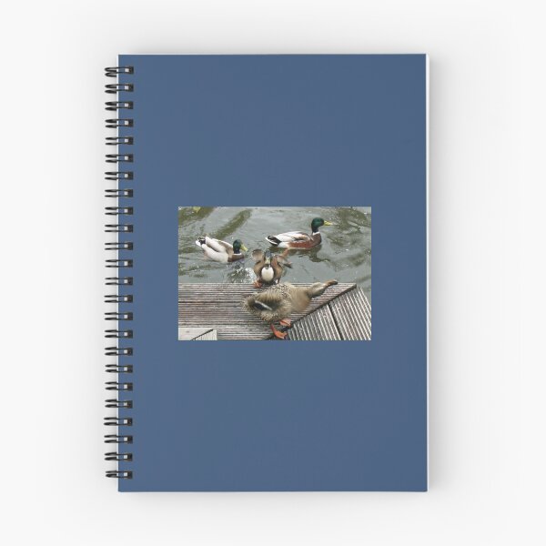 Item preview, Keukenhof Quackers   designed and sold by AestheticGoodc.