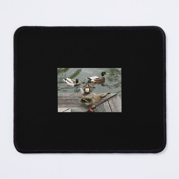 Item preview, Keukenhof Quackers designed and sold by AestheticGoodc.
