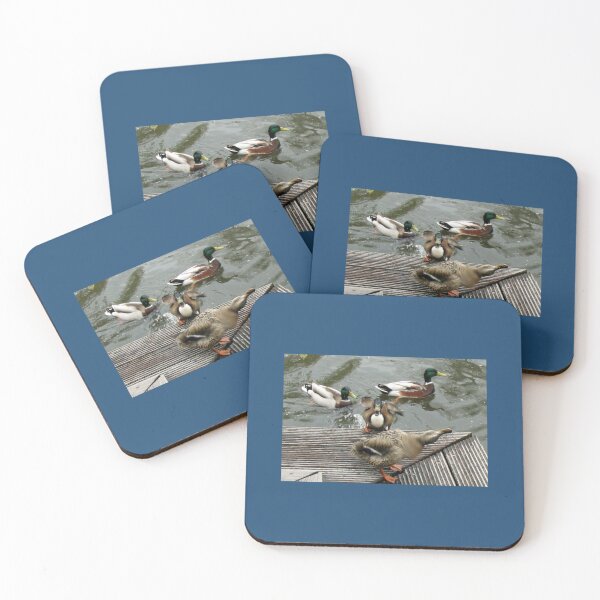 Item preview, Keukenhof Quackers   designed and sold by AestheticGoodc.