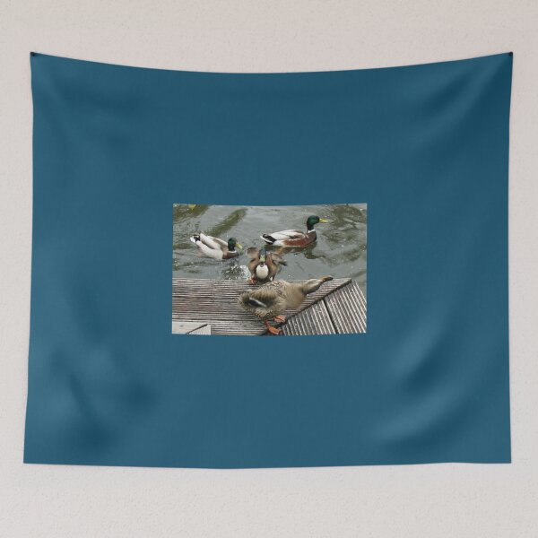 Item preview, Keukenhof Quackers   designed and sold by AestheticGoodc.