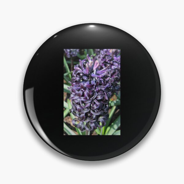 Item preview, Midnight Mystique - Dark Hyacinth   designed and sold by AestheticGoodc.