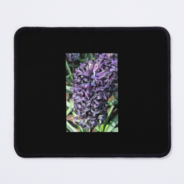 Item preview, Midnight Mystique - Dark Hyacinth designed and sold by AestheticGoodc.