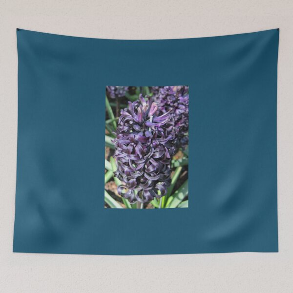 Item preview, Midnight Mystique - Dark Hyacinth   designed and sold by AestheticGoodc.