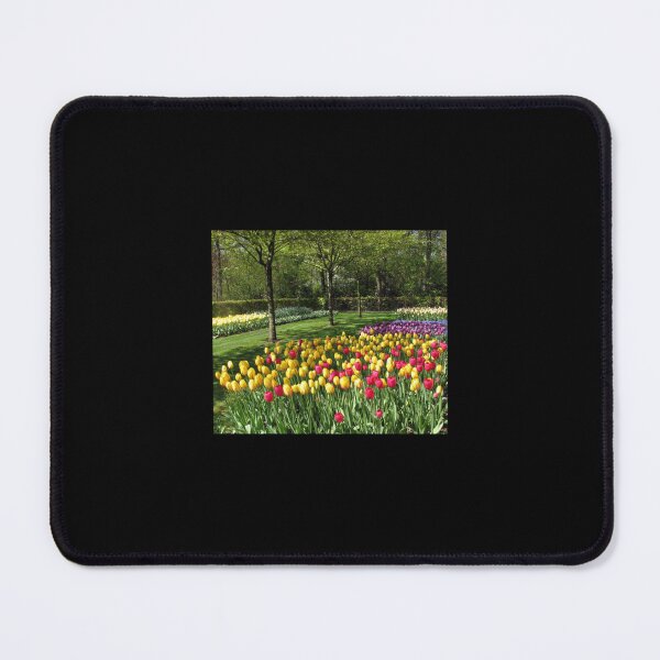Item preview, Multicoloured Tulips - Keukenhof Gardens designed and sold by AestheticGoodc.
