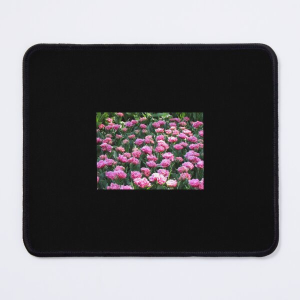 Item preview, Parade of Pinks - Tulips in the Keukenhof Gardens designed and sold by AestheticGoodc.