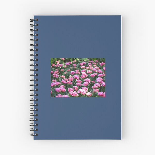 Item preview, Parade of Pinks - Tulips in the Keukenhof Gardens   designed and sold by AestheticGoodc.