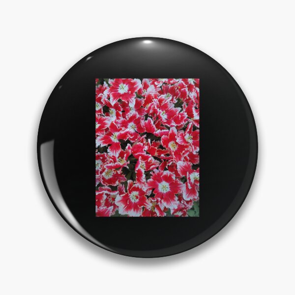 Item preview, Red and White Tulips Premium  designed and sold by AestheticGoodc.