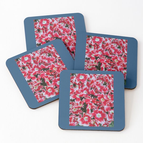 Item preview, Red and White Tulips Premium  designed and sold by AestheticGoodc.