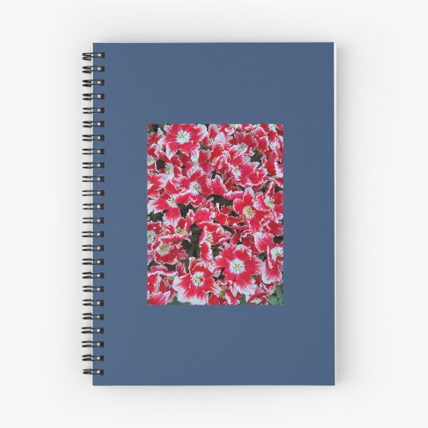 Item preview, Red and White Tulips Premium  designed and sold by AestheticGoodc.