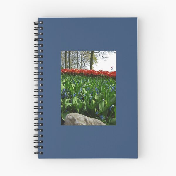 Item preview, Roy G. Biv Premium  designed and sold by AestheticGoodc.