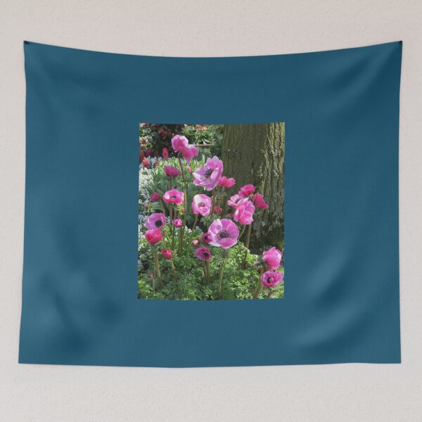 Item preview, So Pretty-in-Pink - Anemones in the Keukenhof Gardens   designed and sold by AestheticGoodc.