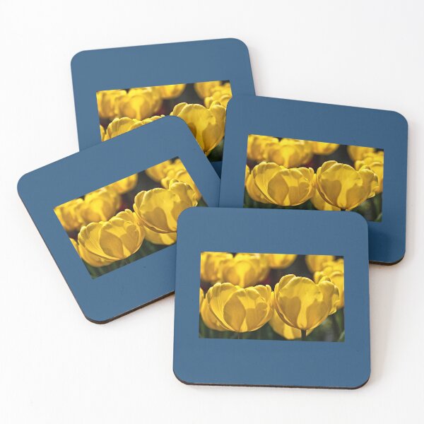 Item preview, Yellow Tulips of Keukenhof   designed and sold by AestheticGoodc.
