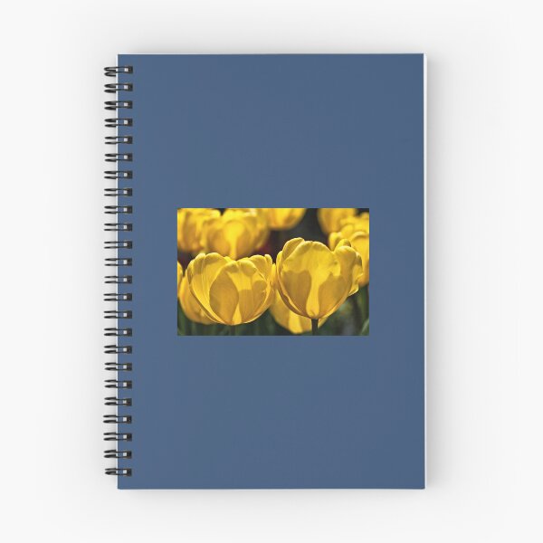 Item preview, Yellow Tulips of Keukenhof   designed and sold by AestheticGoodc.