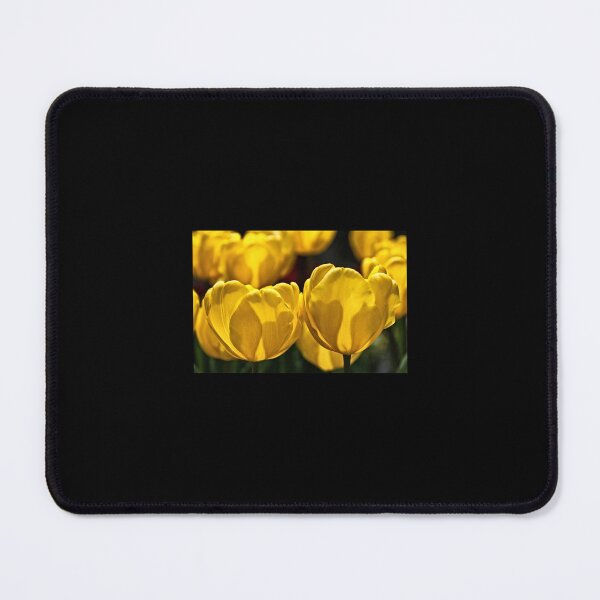 Item preview, Yellow Tulips of Keukenhof designed and sold by AestheticGoodc.