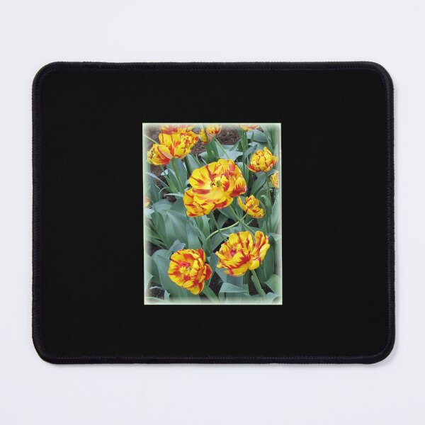 Item preview, Two-Tone Orange Tulips Vignette designed and sold by AestheticGoodc.