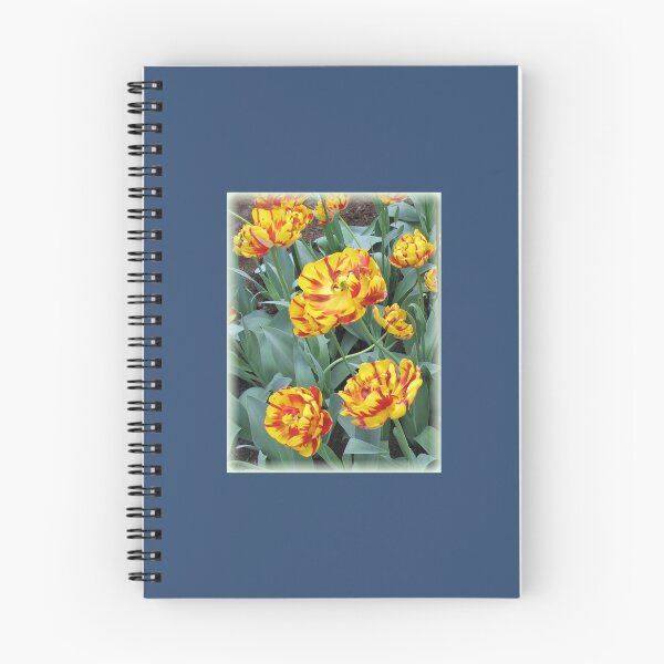Item preview, Two-Tone Orange Tulips Vignette   designed and sold by AestheticGoodc.