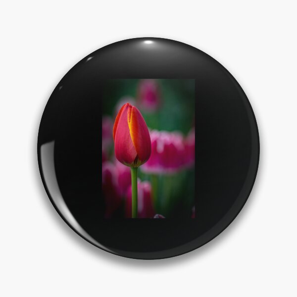Item preview, Tulips 1 Premium  designed and sold by AestheticGoodc.
