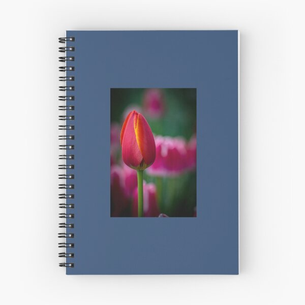 Item preview, Tulips 1 Premium  designed and sold by AestheticGoodc.