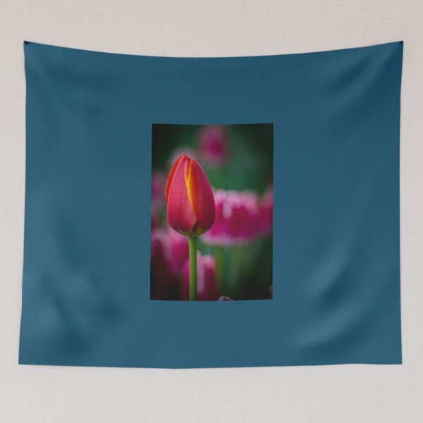 Item preview, Tulips 1 Premium  designed and sold by AestheticGoodc.