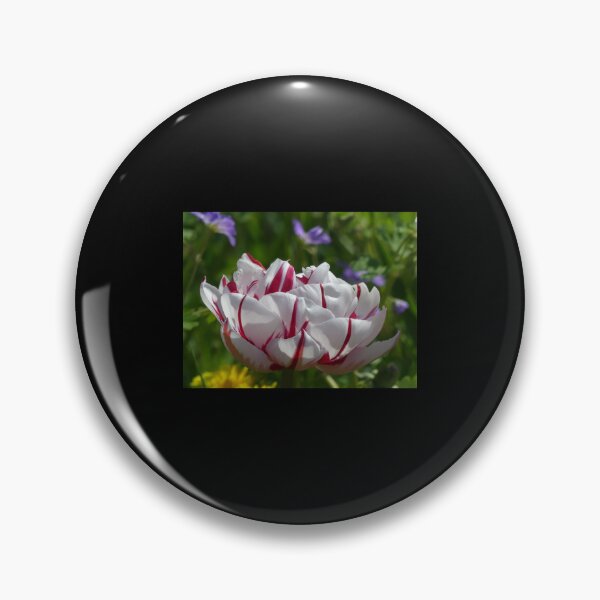 Item preview, Tulip from Holland Premium  designed and sold by AestheticGoodc.