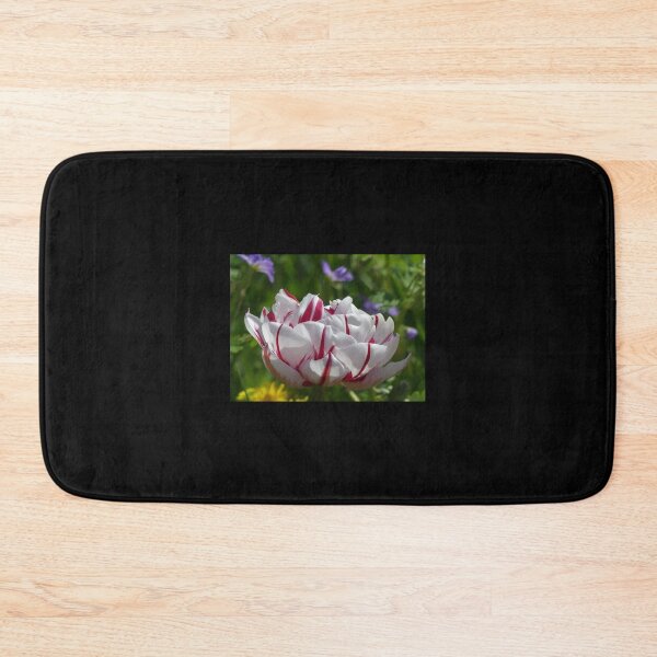 Item preview, Tulip from Holland Premium  designed and sold by AestheticGoodc.