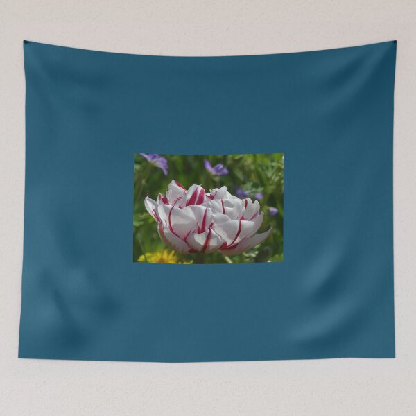 Item preview, Tulip from Holland Premium  designed and sold by AestheticGoodc.