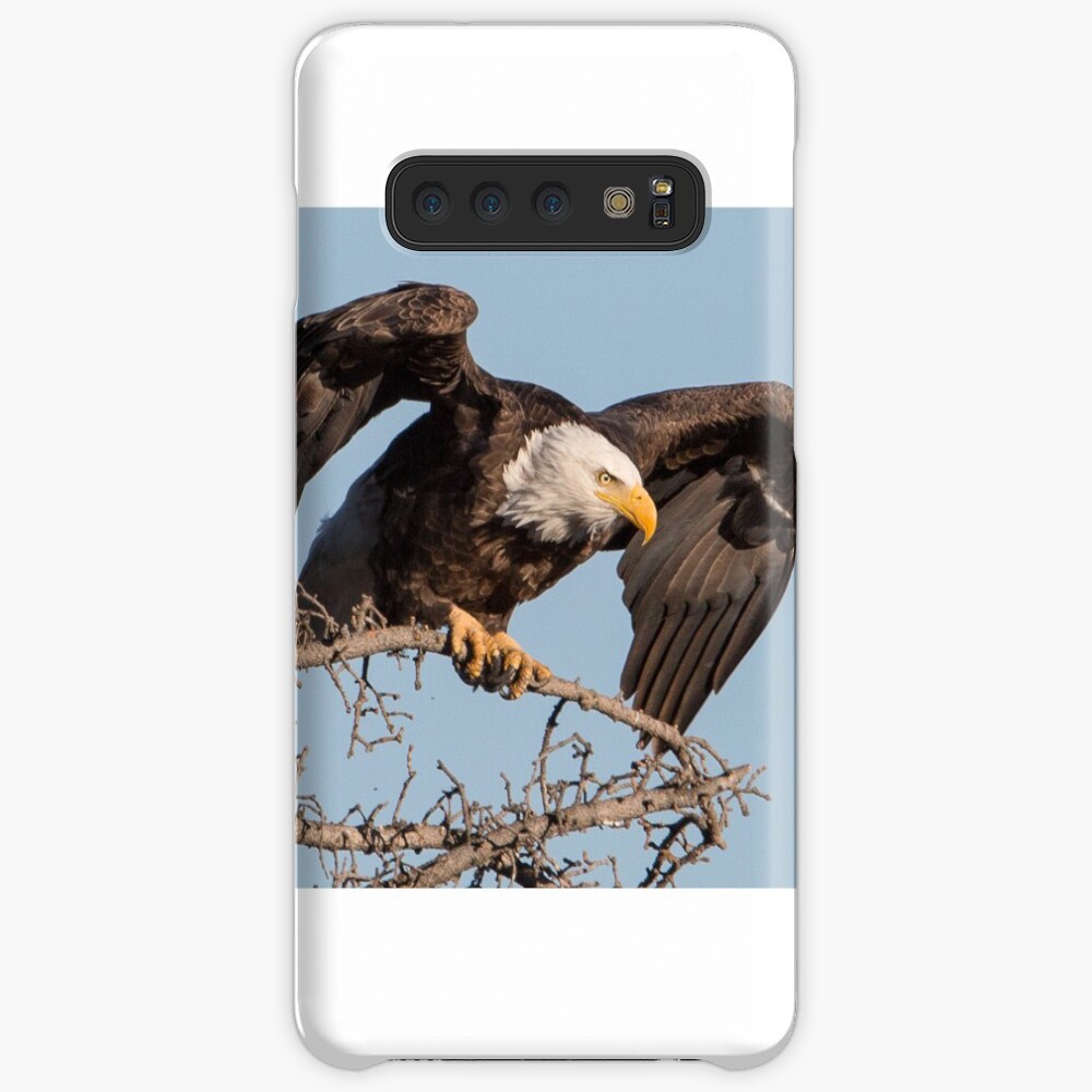 Bald Eagle: prelaunch wing test Case & Skin for Samsung Galaxy