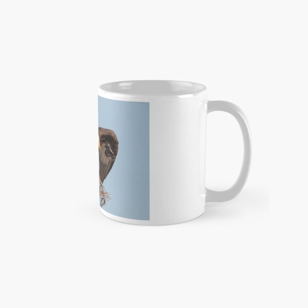 Bald Eagle: prelaunch wing test Classic Mug