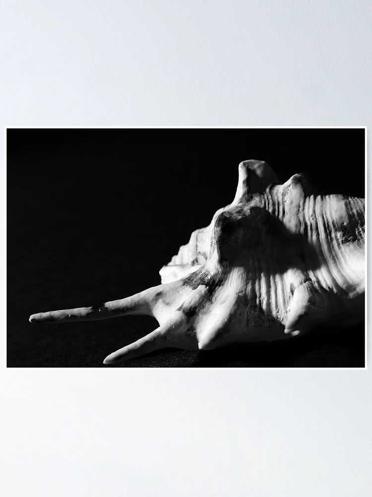 Thumbnail 1 of 3, Poster, Shell designed and sold by Linus Häggman.