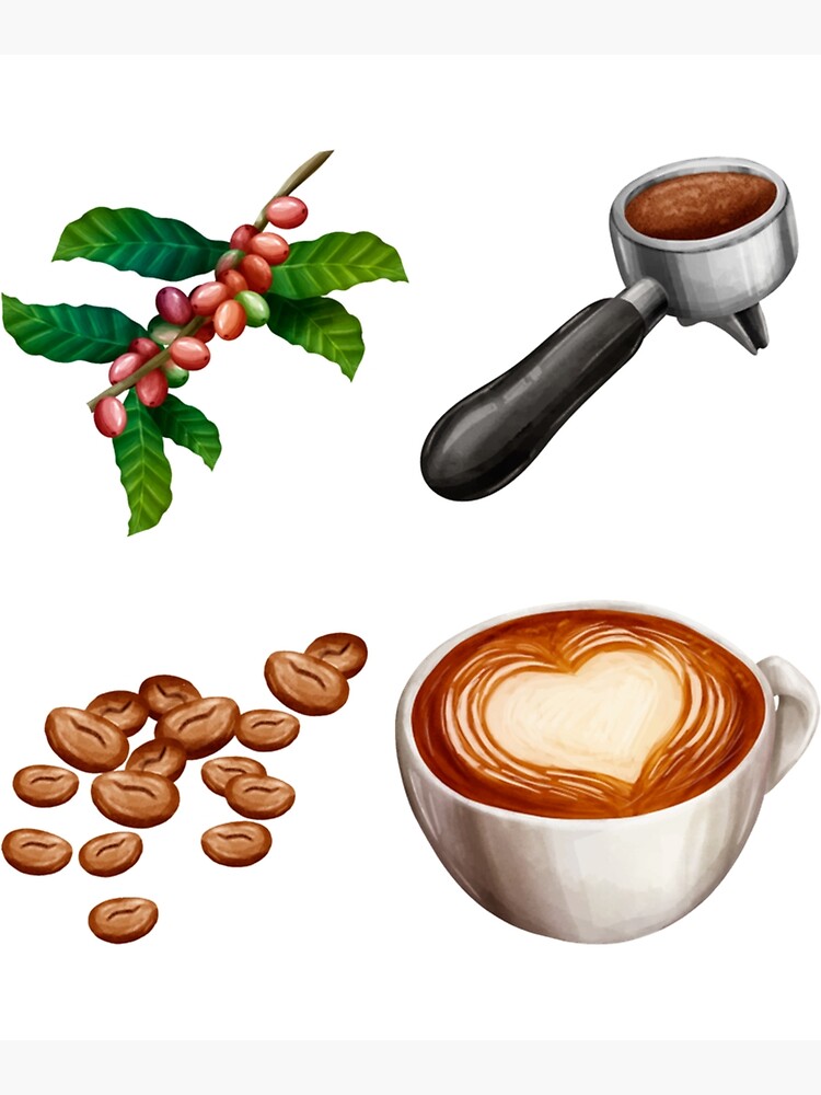 "Assorted Coffee Elements Pack Coffee Fruit, Coffee Beans