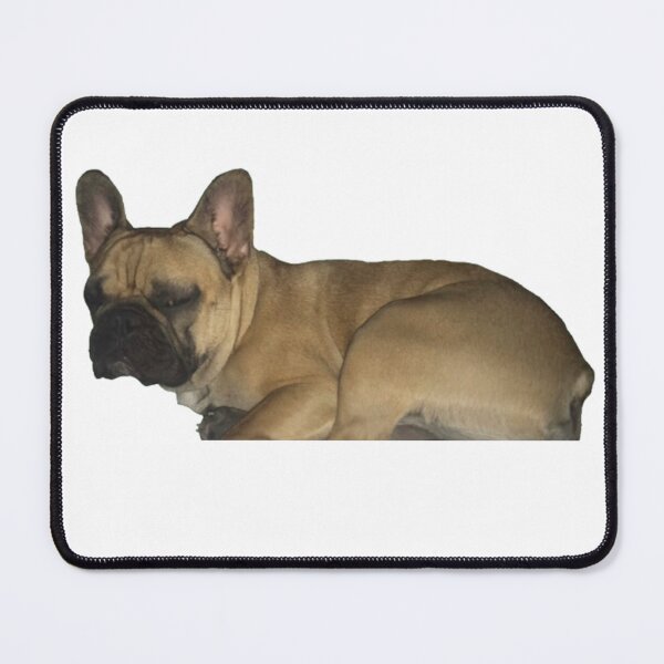 Item preview, Archie! v1 designed and sold by ladybirds-hill.