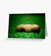 Ripe Greeting Card