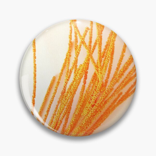 Item preview, ,, Ветка,. designed and sold by natalierybka.