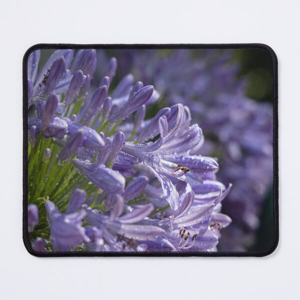 Item preview, Purple Reign designed and sold by Marylou Badeaux.