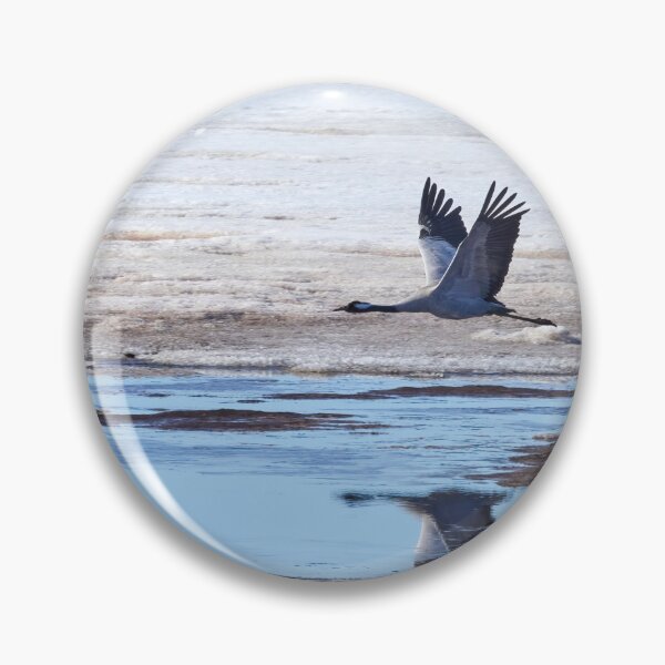Item preview, Over the mirroring water. Eurasian crane designed and sold by Jouko Lehto Photography.