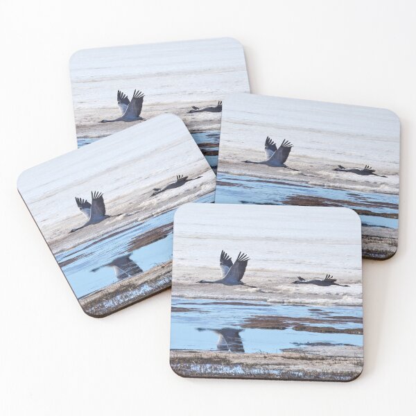 Item preview, Over the mirroring water. Eurasian crane designed and sold by Jouko Lehto Photography.