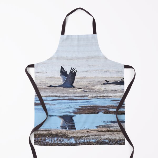 Item preview, Over the mirroring water. Eurasian crane designed and sold by Jouko Lehto Photography.