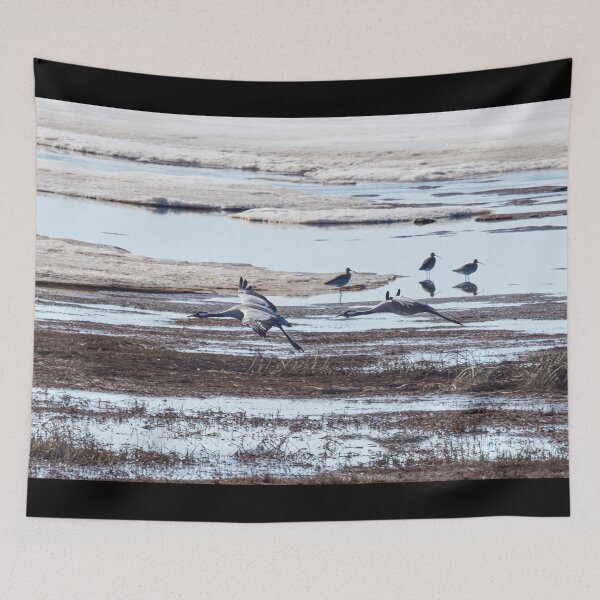 Item preview, Voices of spring. Eurasian crane and Eurasian curlew designed and sold by Jouko Lehto Photography.