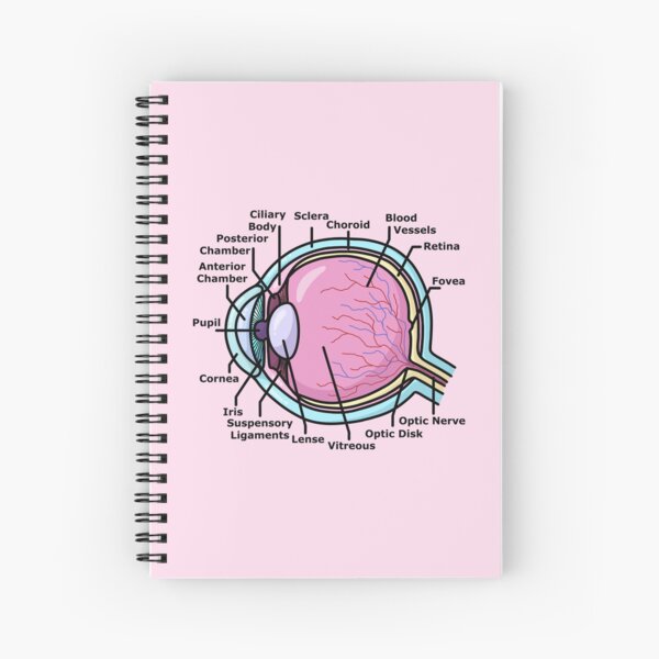Item preview, Eye Diagram - Ophthalmology designed and sold by BundaBear.