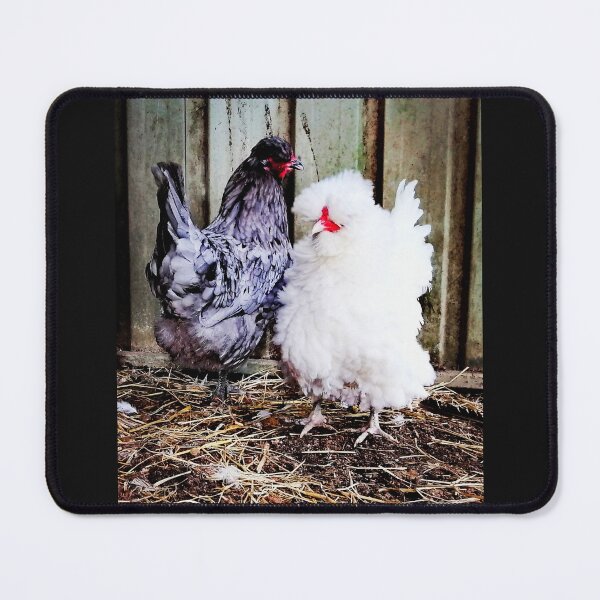 Item preview, Fluffy Chickens designed and sold by VictoriaAugust.