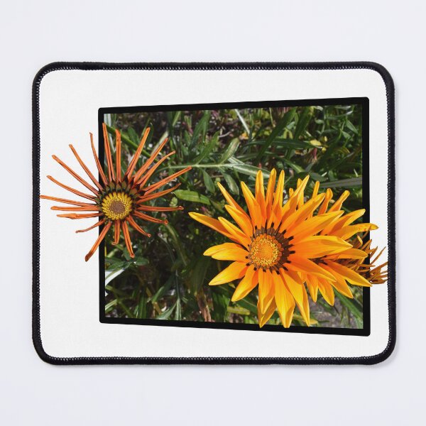 Item preview, Reaching for the Light designed and sold by Yolanda Caporn Art.