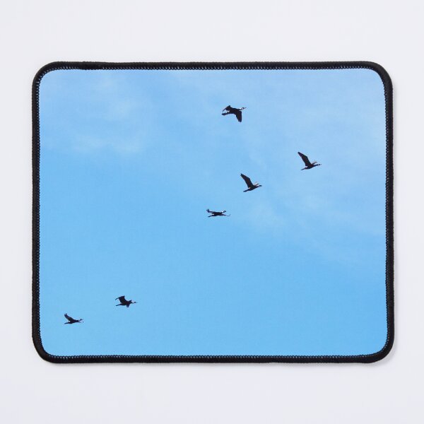Item preview, Great Cormorants and the blue sky designed and sold by Jouko Lehto Photography.