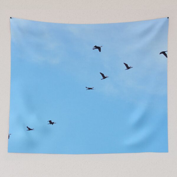 Item preview, Great Cormorants and the blue sky designed and sold by Jouko Lehto Photography.