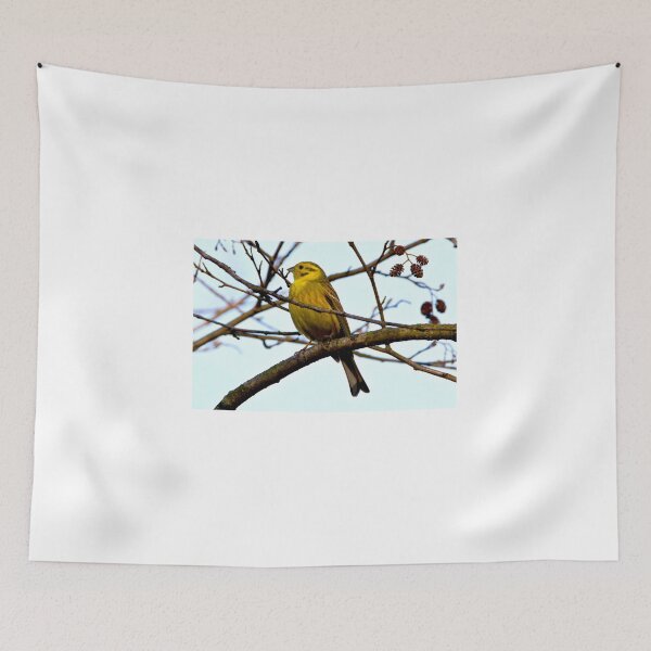 Item preview, Yellowhammer (Emberiza citrinella) designed and sold by MarekM.