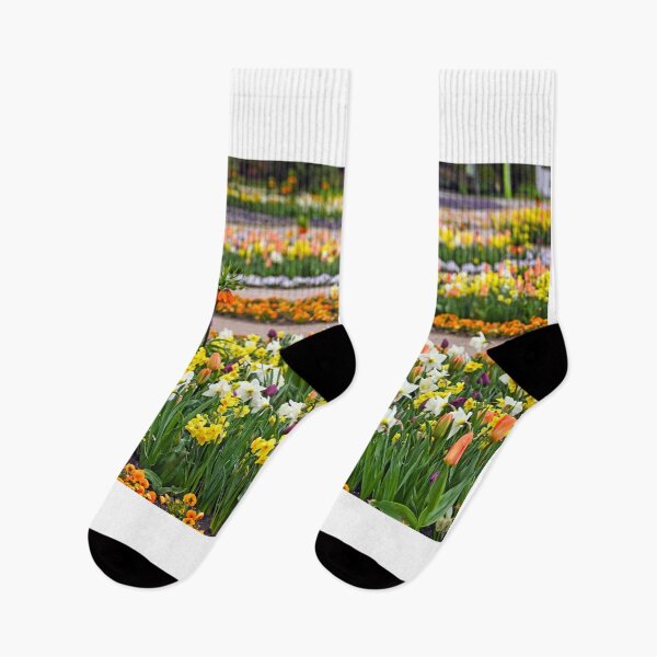 Item preview, Colorful garden with tulip and Kaiser's crown flowers spring season designed and sold by goceris.