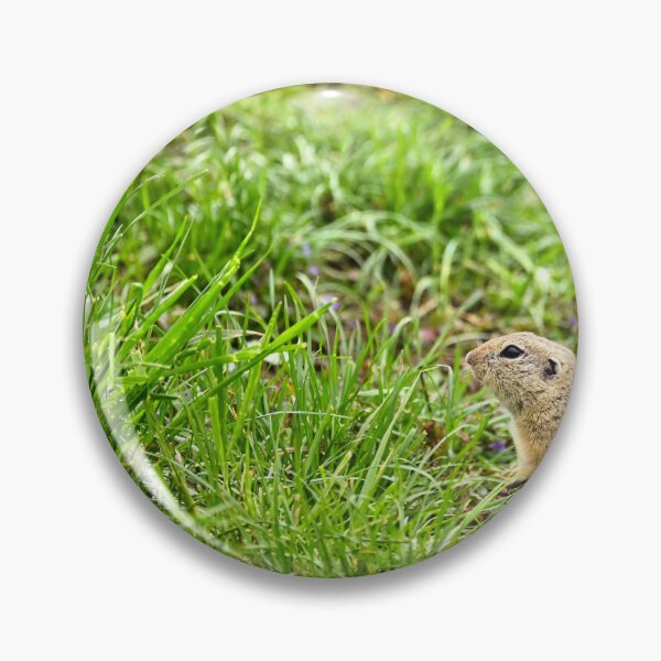 Item preview, European Souslik Spermophilus citellus stands in the grass designed and sold by goceris.
