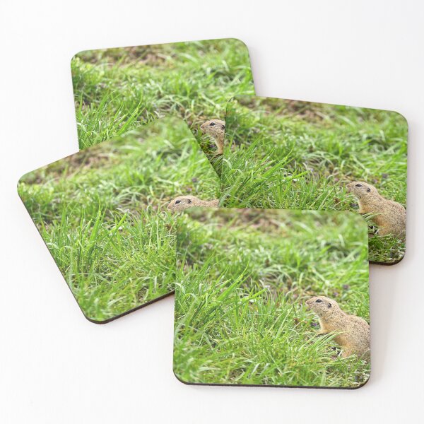 Item preview, European Souslik Spermophilus citellus stands in the grass designed and sold by goceris.